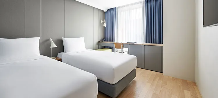 Deluxe Twin room with two single beds